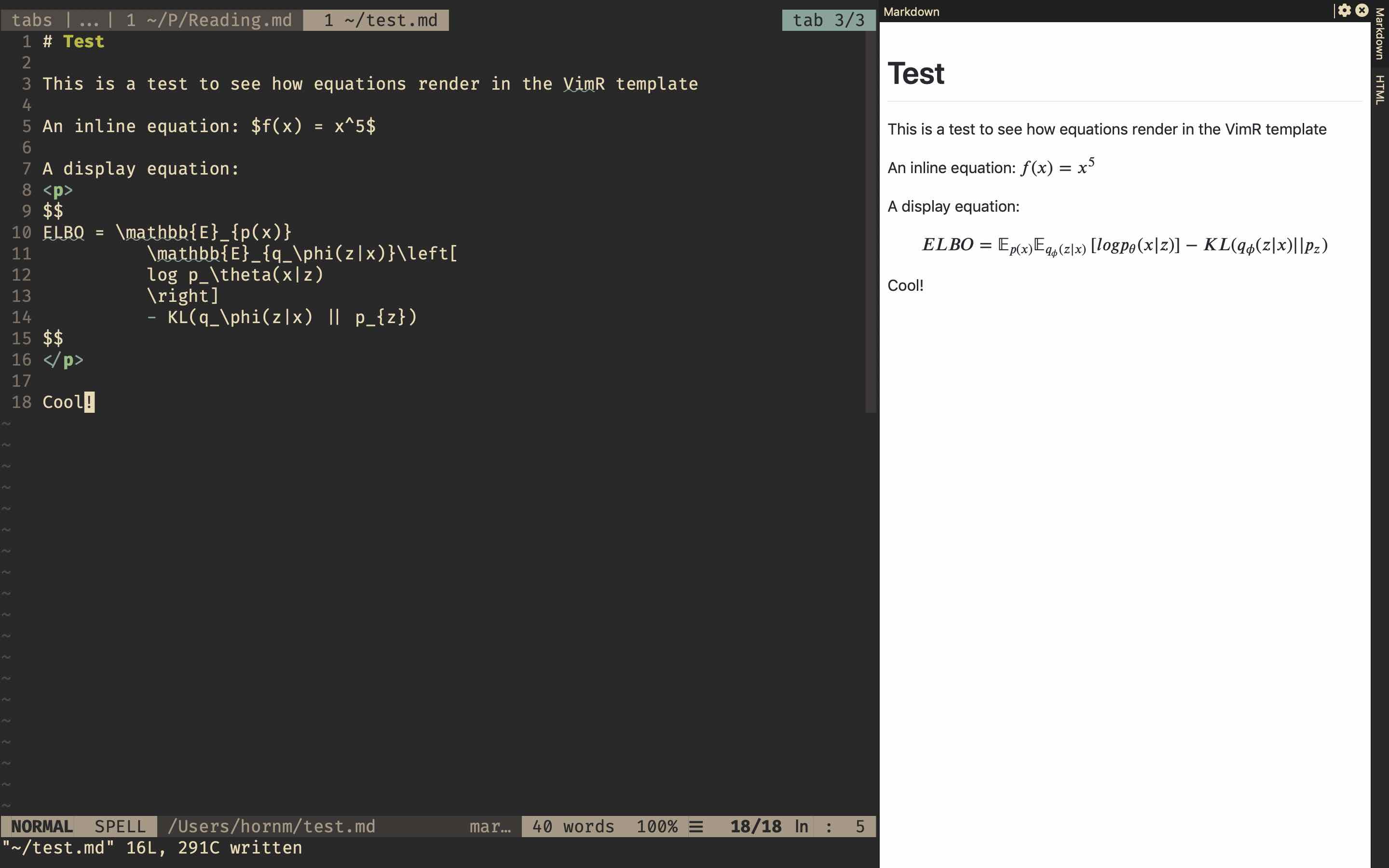 Vimr with markdown preview